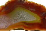 Polished Queensland Agate Nodule - Australia #323009-1
